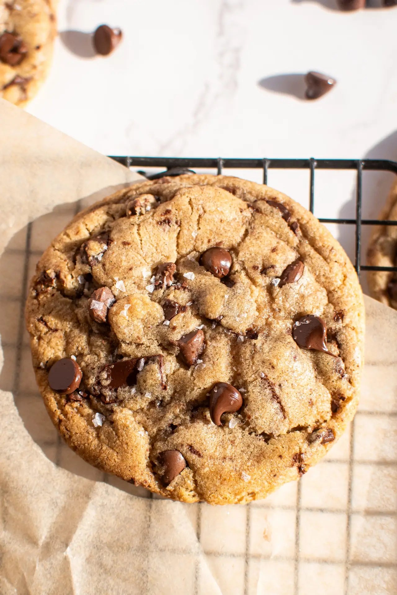 Chocolate cookies